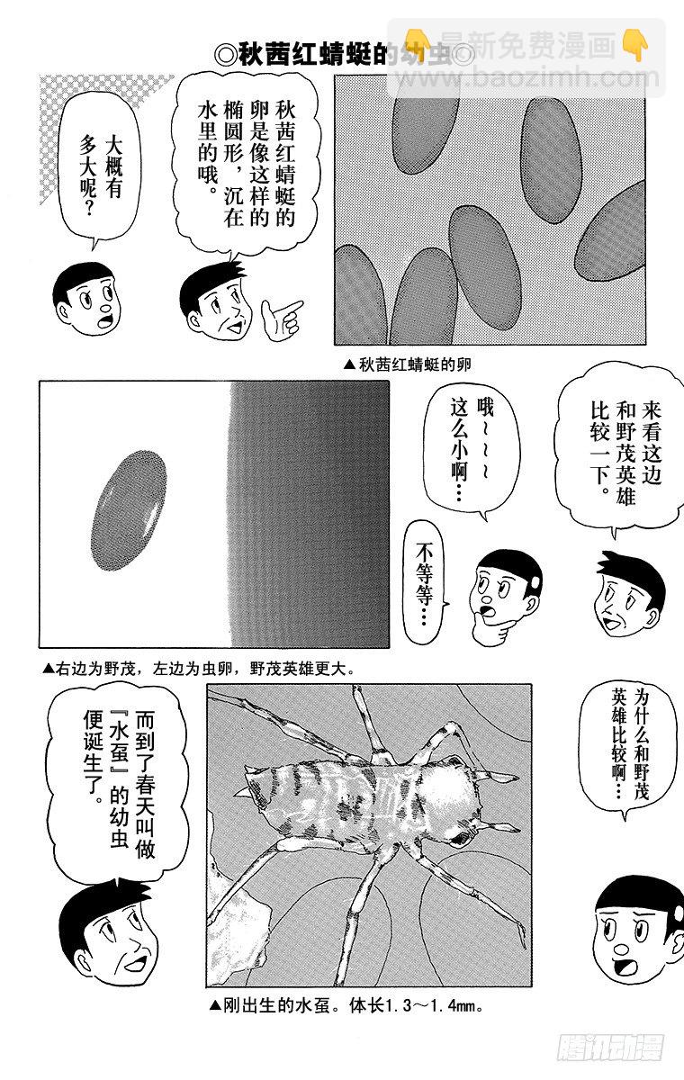 🍸搞笑漫画日和 第11幕 奇异昆虫系列 奇异红蜻 第8页