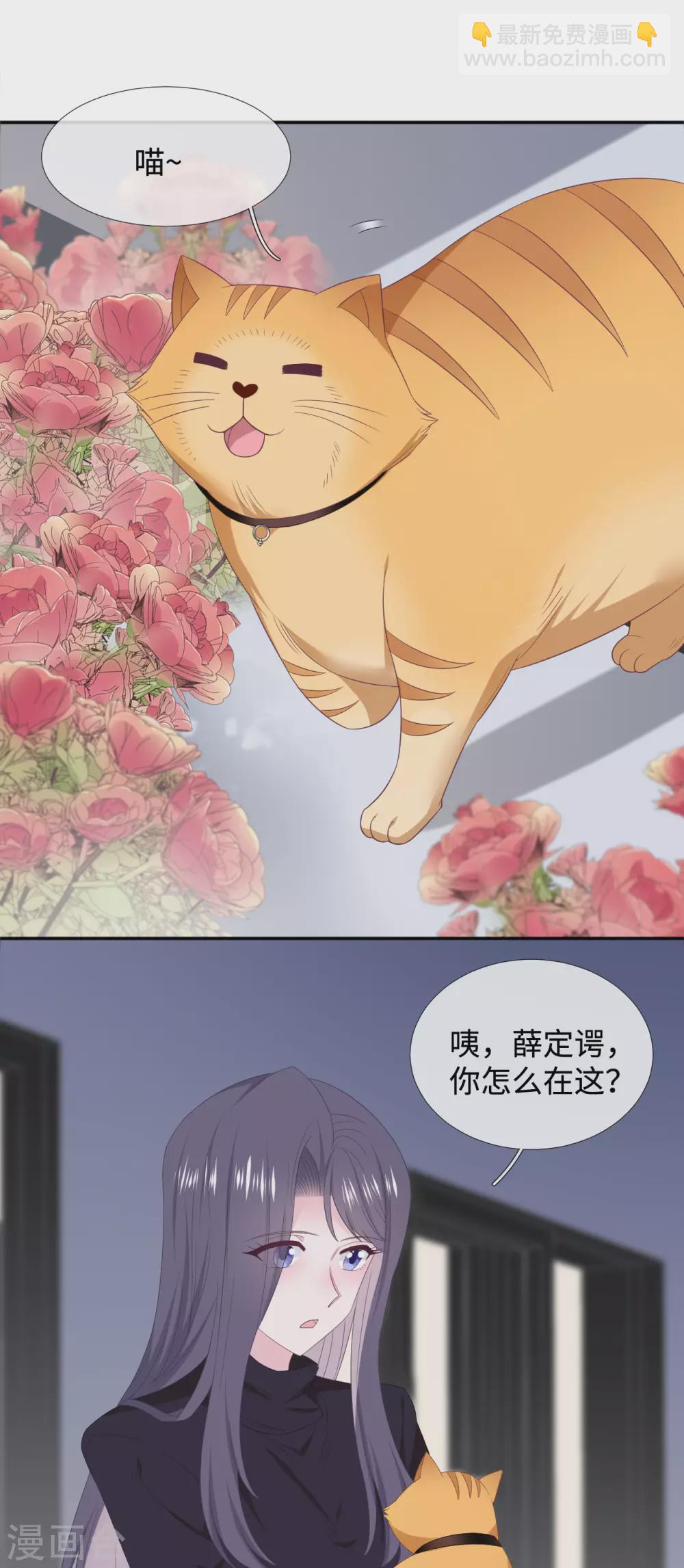 最终话 大结局-第109话