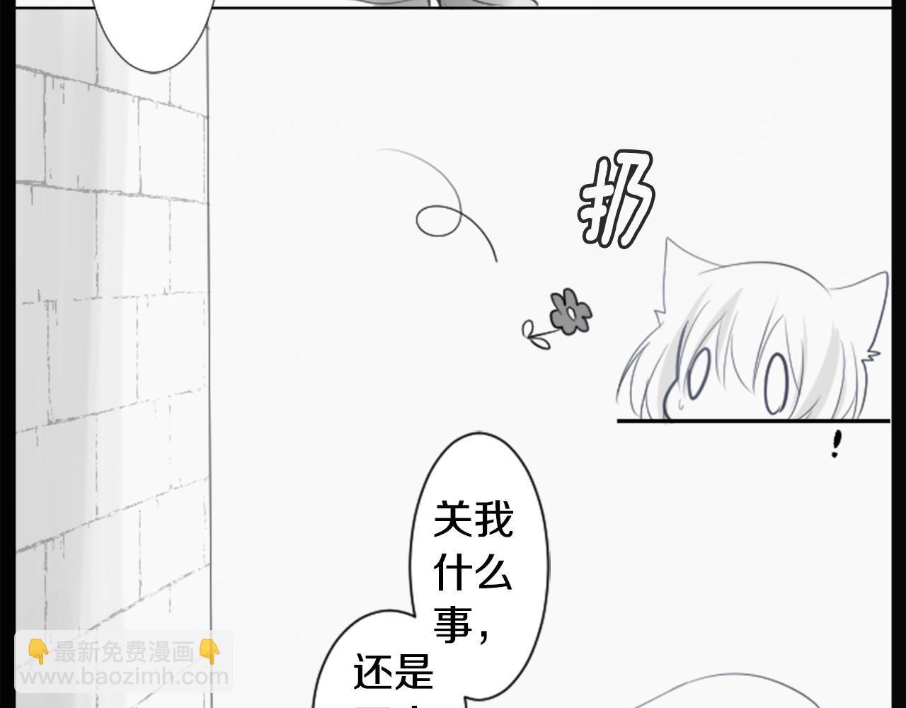 🍸哥哥~请你收养喵 第14话 黑白甜心 第19页