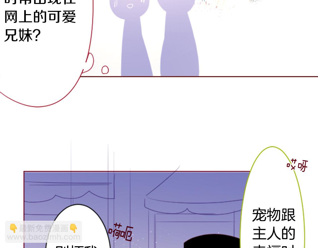 🍸哥哥~请你收养喵 第154话 蓝色星星的花章 第42页