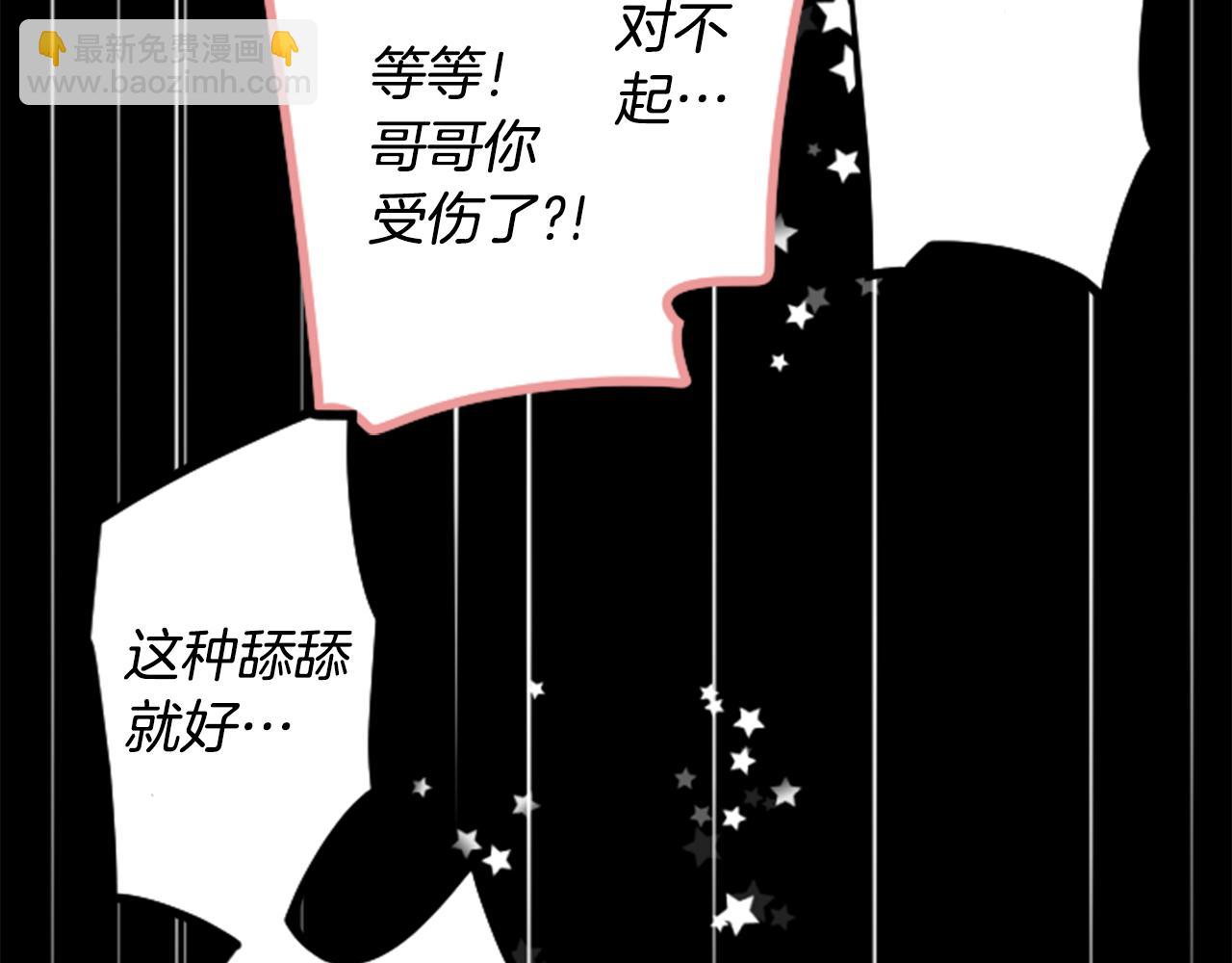 🍸哥哥~请你收养喵 第166话 hello， Luminous 第40页