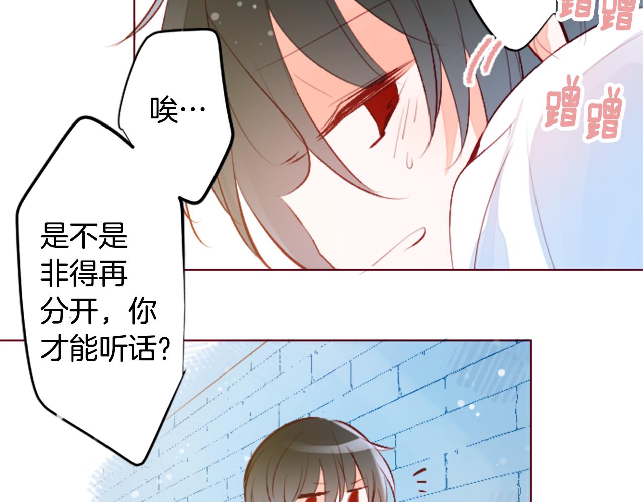 🍸哥哥~请你收养喵 第180话 小樱桃协奏曲1 第15页