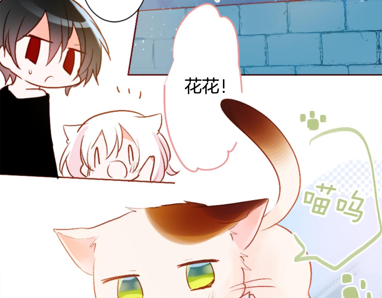 🍸哥哥~请你收养喵 第184话 春风吹拂的日子1 第7页