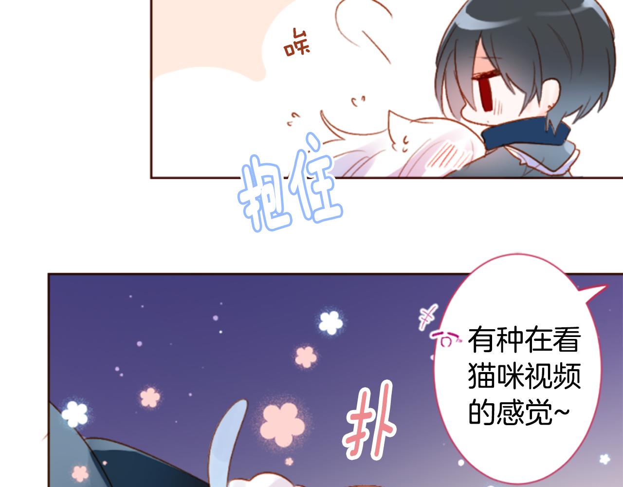 🍸哥哥~请你收养喵 第186话 春风吹拂的日子3 第38页