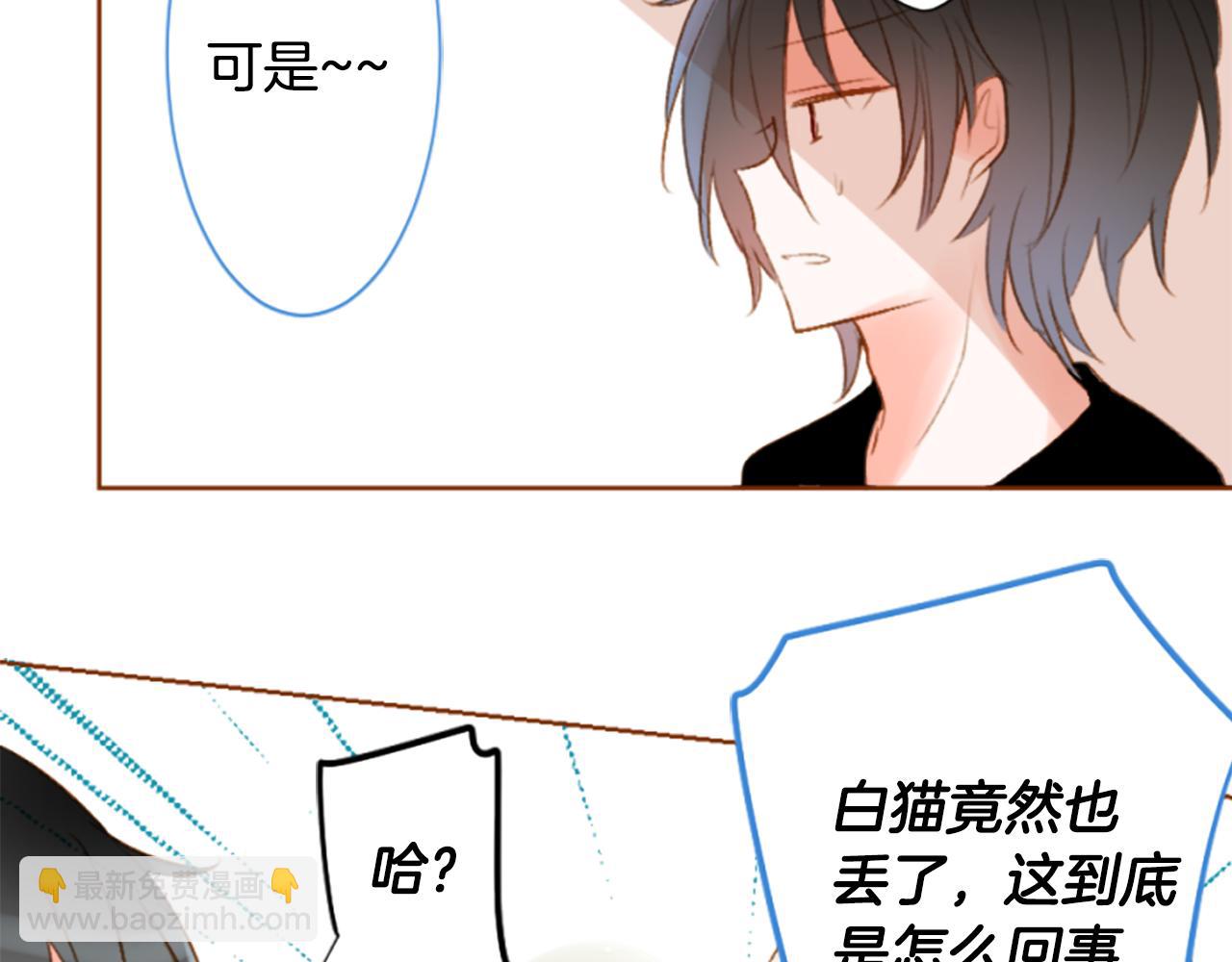 🍸哥哥~请你收养喵 第194话 猫视眈眈3 第49页
