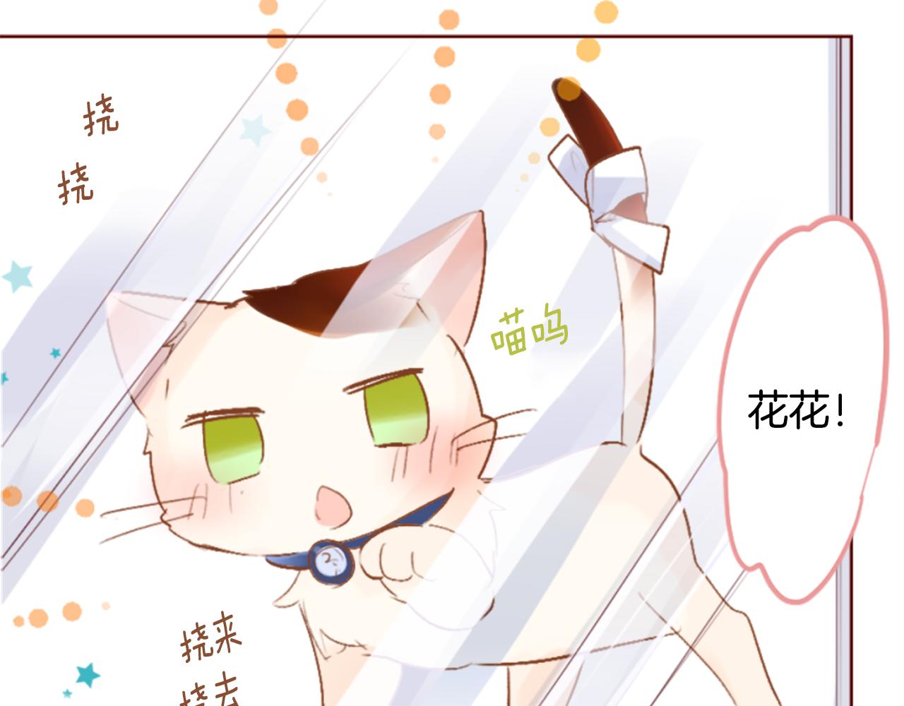🍸哥哥~请你收养喵 第198话 倒计时 第8页