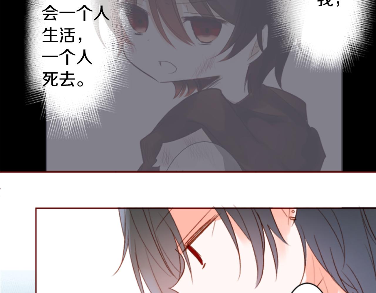 🍸哥哥~请你收养喵 第200话 倒计时3 第42页
