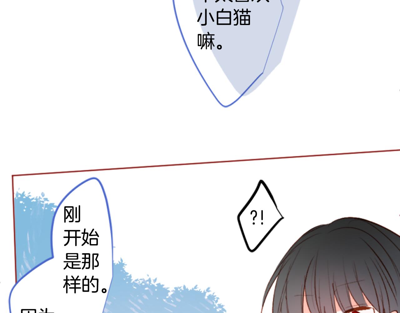 🍸哥哥~请你收养喵 第200话 倒计时3 第46页