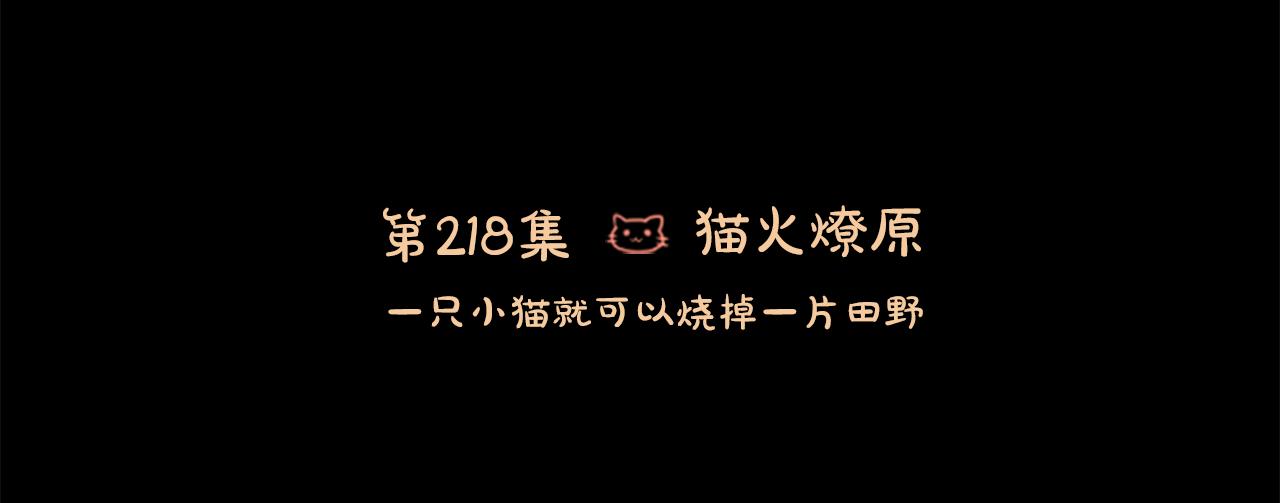 🍸哥哥~请你收养喵 第218话 猫火燎原 第3页