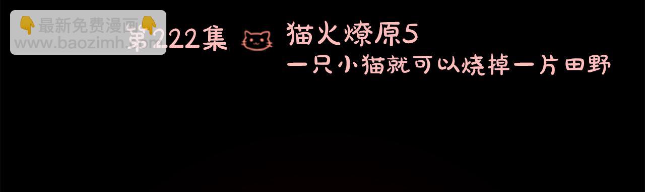 🍸哥哥~请你收养喵 第222话 猫火燎原5 第18页