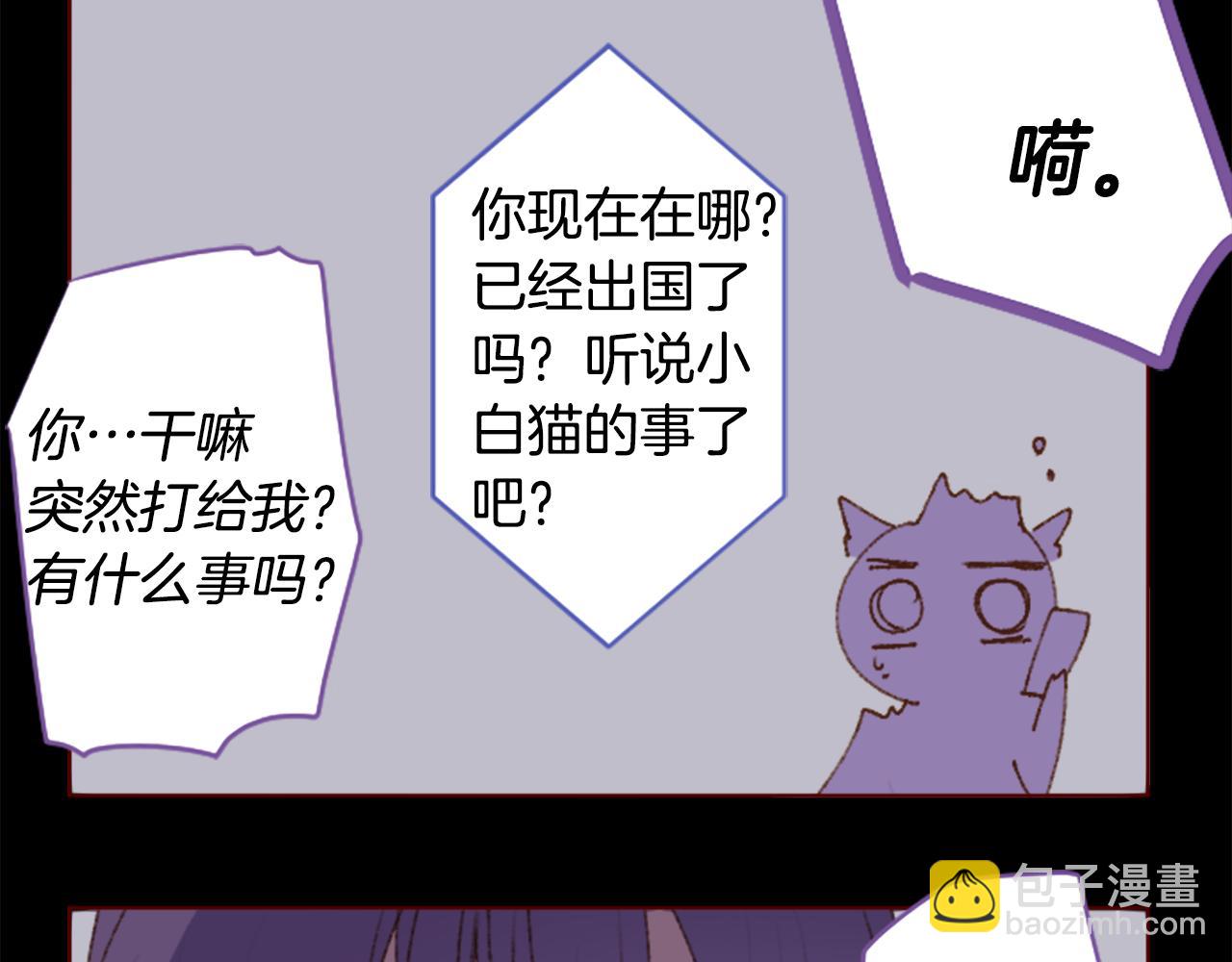 🍸哥哥~请你收养喵 第222话 猫火燎原5 第9页