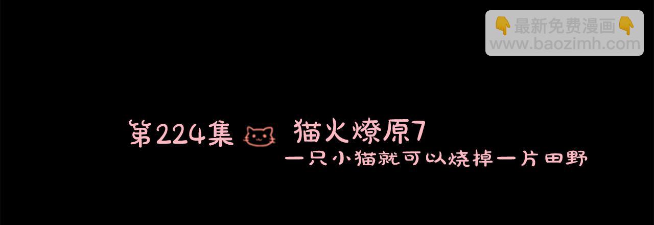 🍸哥哥~请你收养喵 第224话 猫火燎原7 第13页