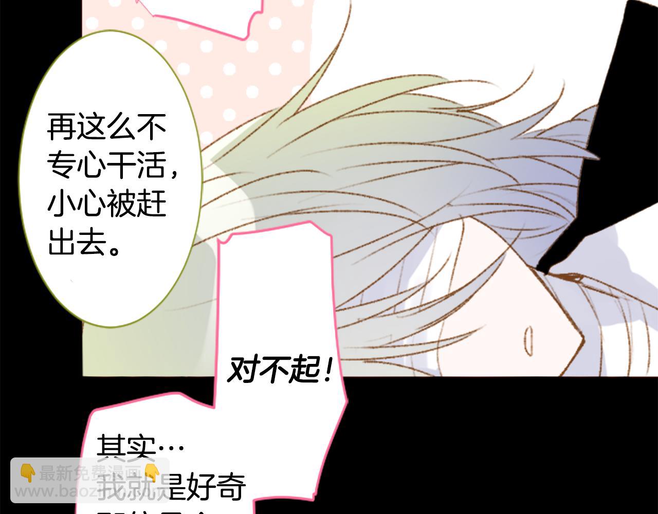 🍸哥哥~请你收养喵 第228话 樱桃·开心果·小夜曲2 第19页