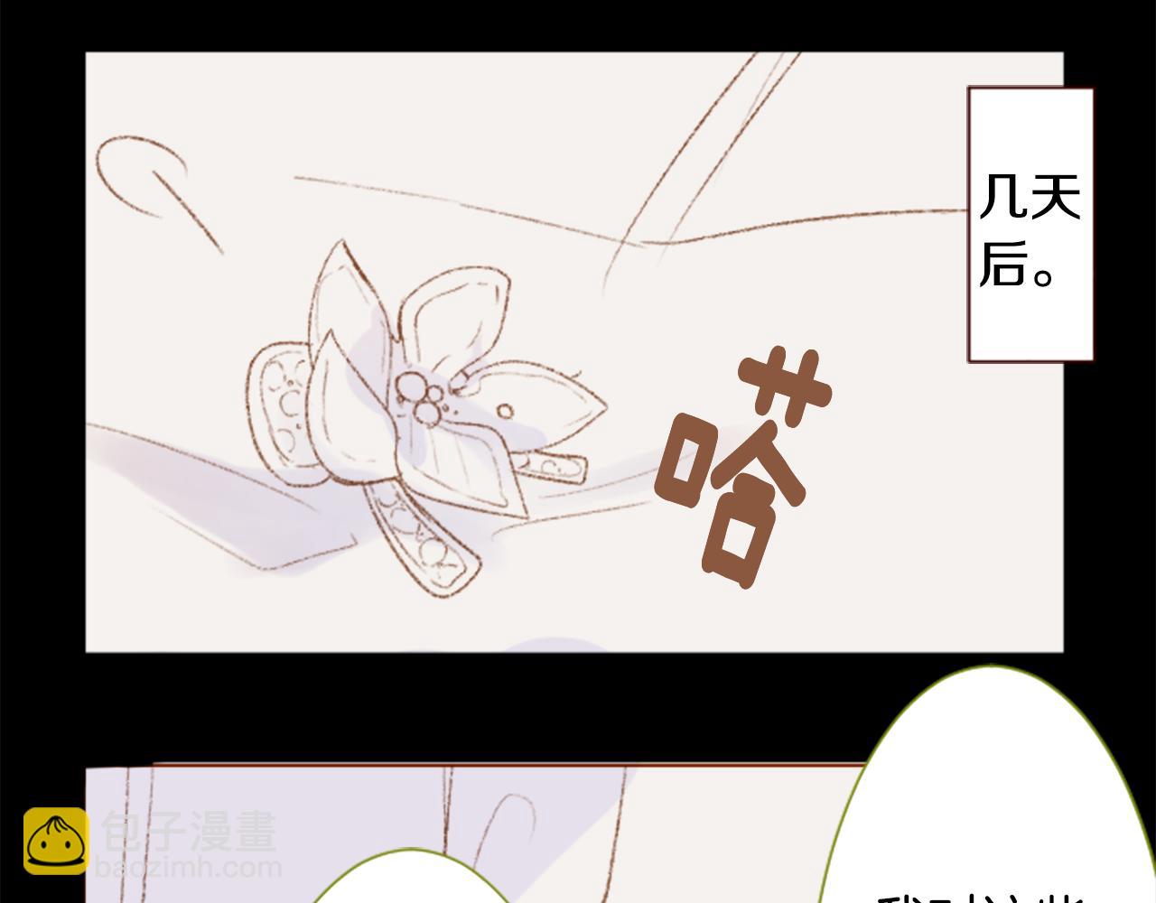 🍸哥哥~请你收养喵 第236话 lily的余香 第13页