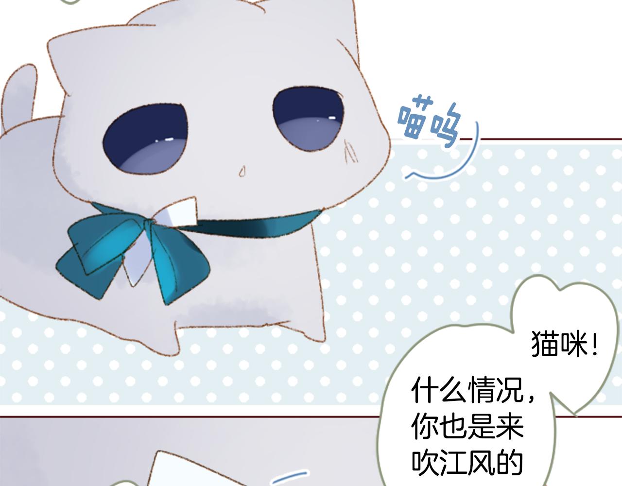 🍸哥哥~请你收养喵 第248话 晨露是蓝宝石 第18页