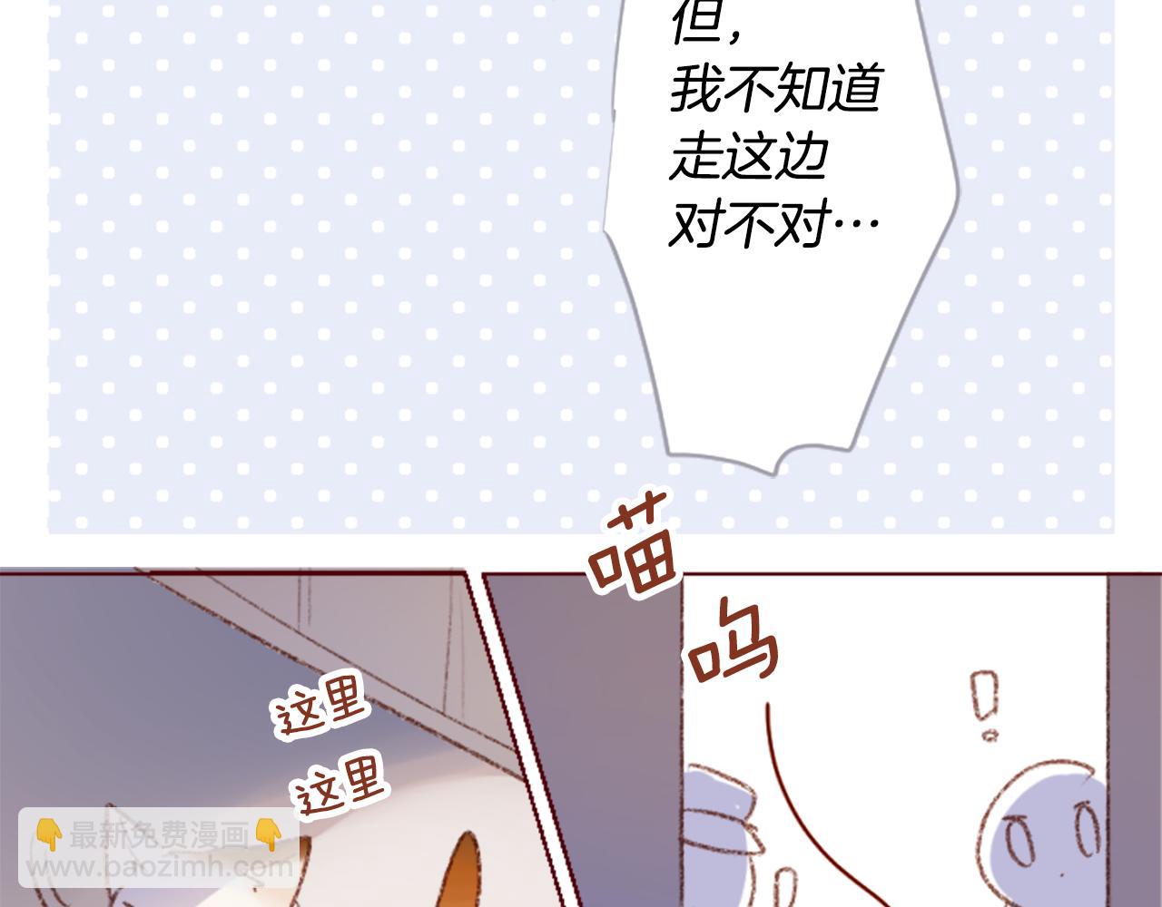 🍸哥哥~请你收养喵 第248话 晨露是蓝宝石 第40页
