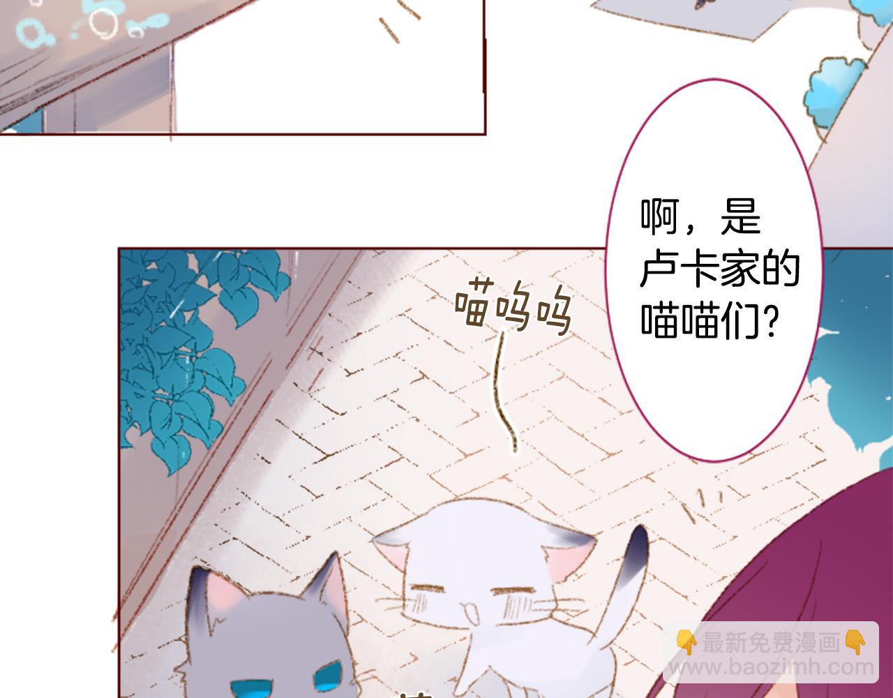 🍸哥哥~请你收养喵 第250话 欢迎来到秘密茶会 第12页