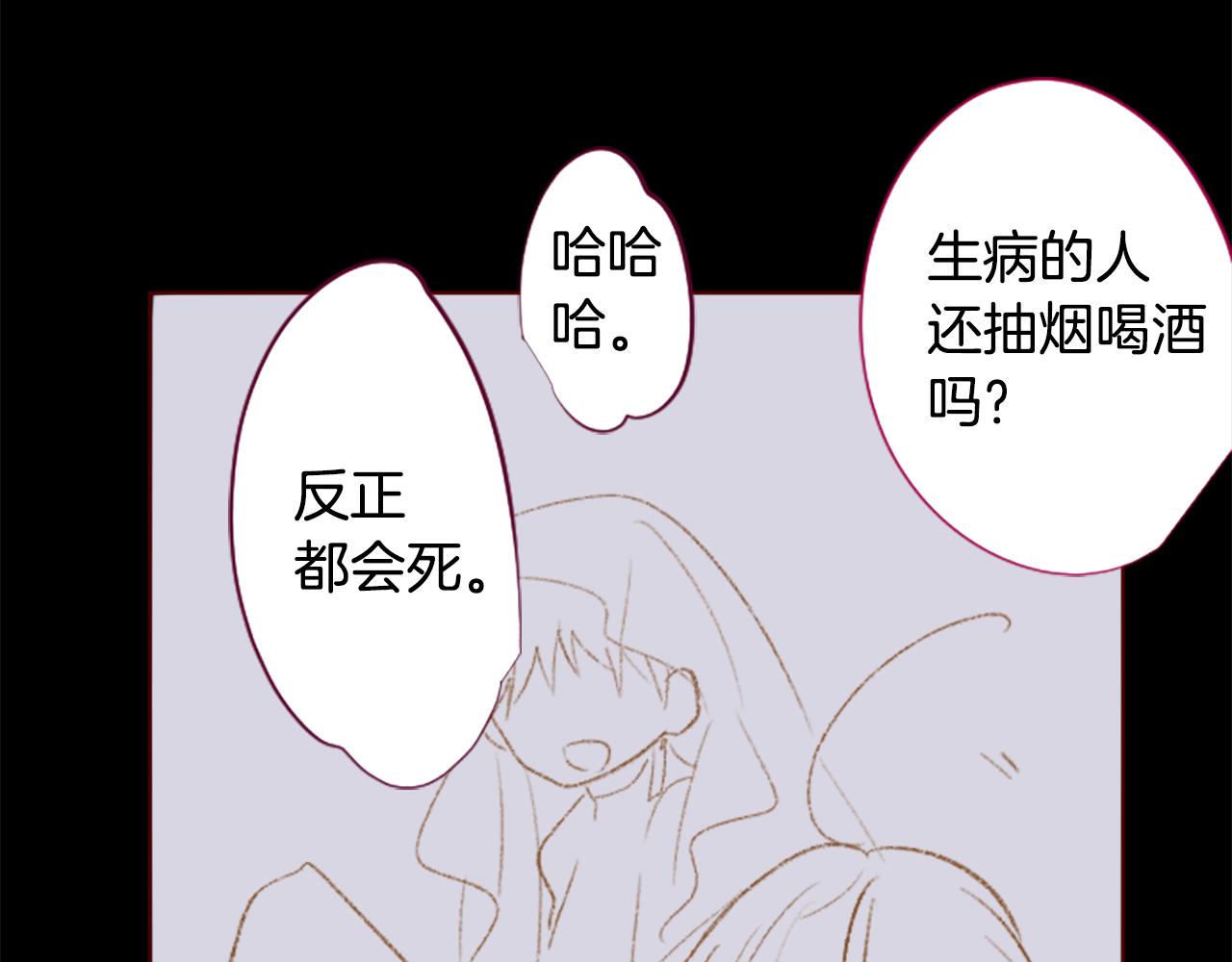 🍸哥哥~请你收养喵 第250话 欢迎来到秘密茶会 第7页
