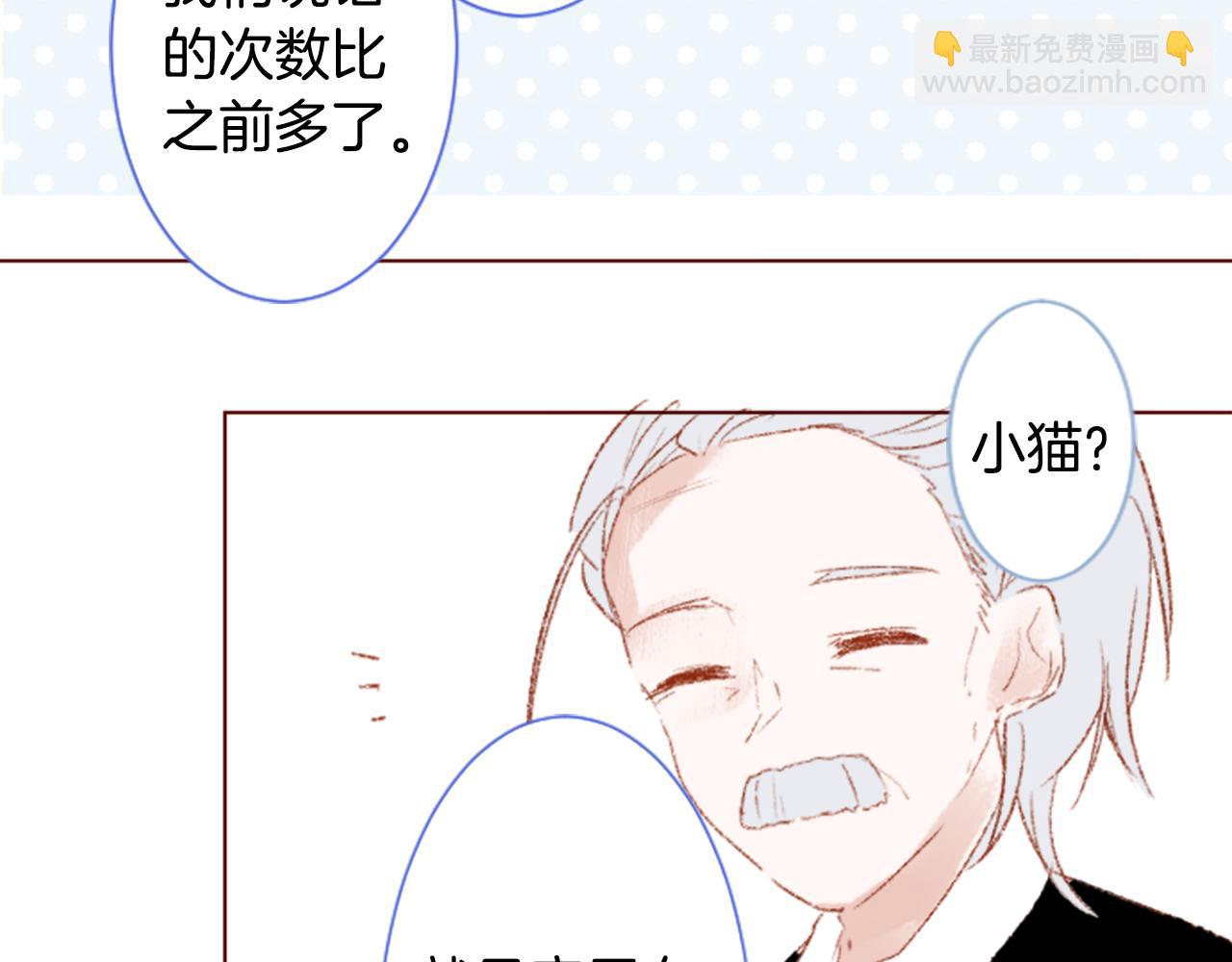 🍸哥哥~请你收养喵 第254话 突袭的memory blue 第37页