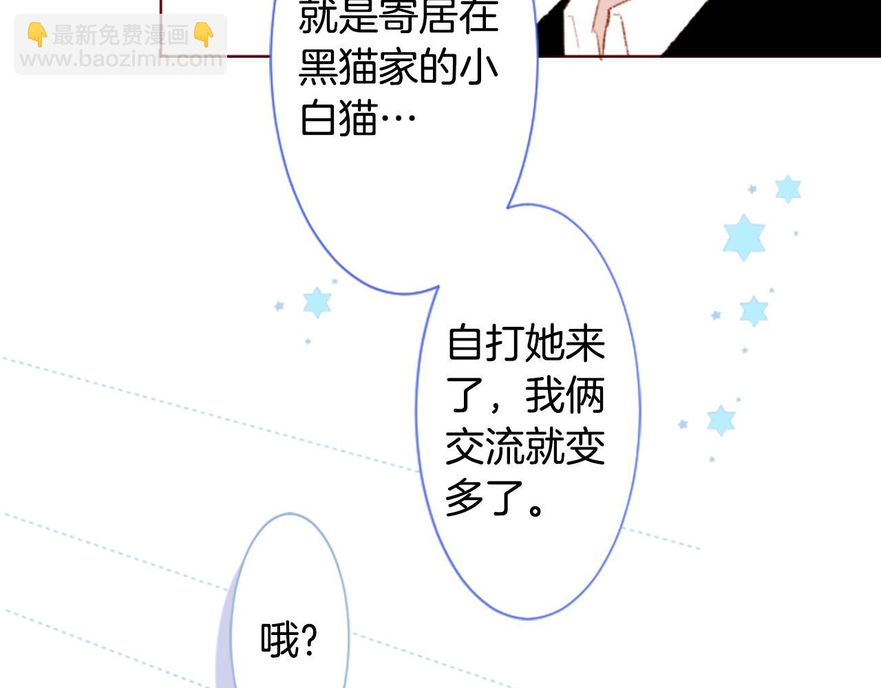 🍸哥哥~请你收养喵 第254话 突袭的memory blue 第38页