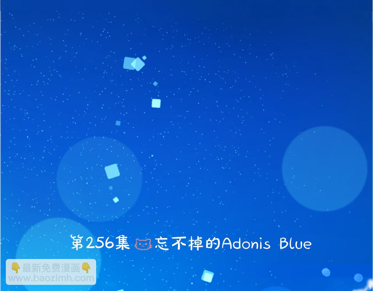 🍸哥哥~请你收养喵 第256话 忘不掉的Adonis blue 第6页