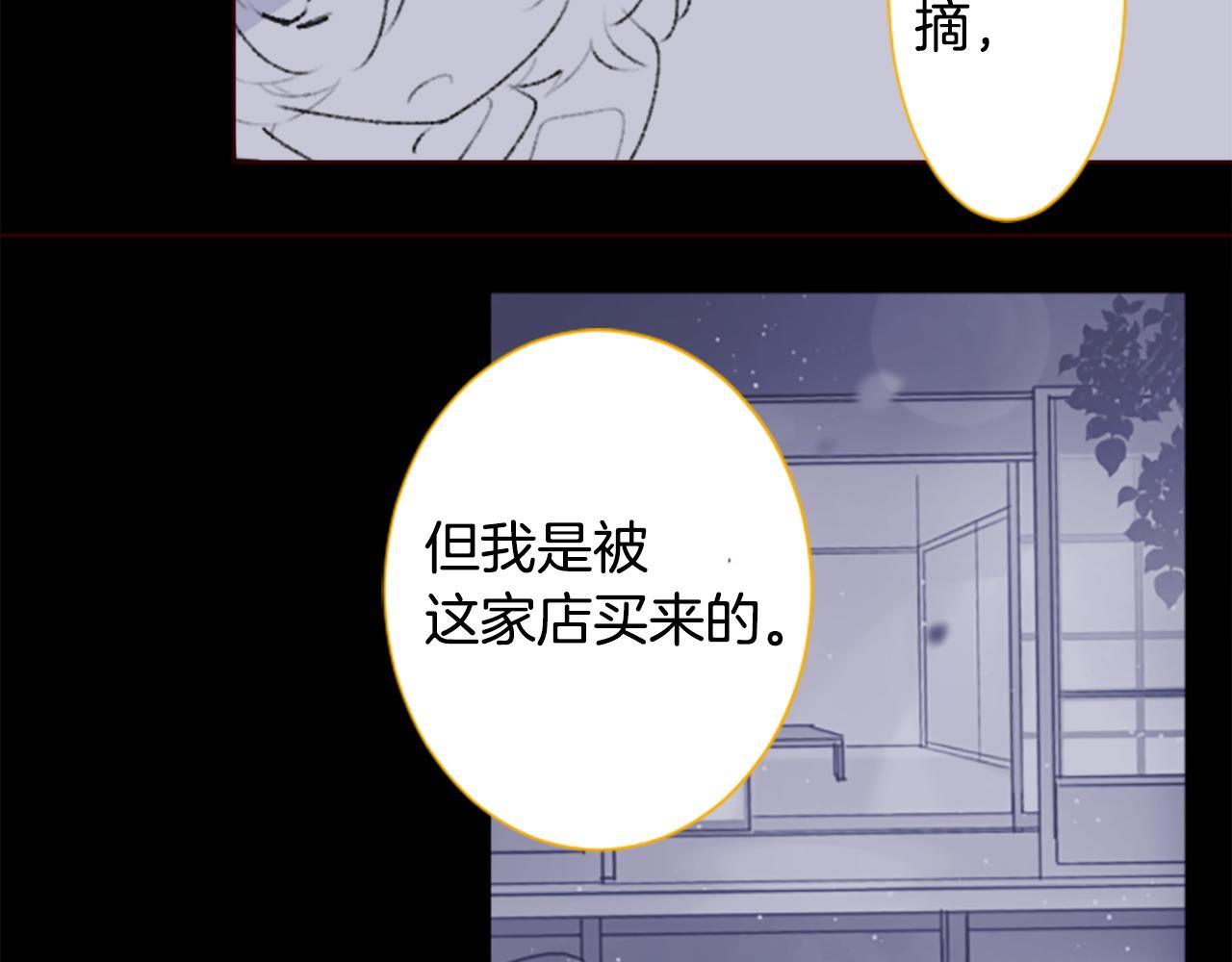 🍸哥哥~请你收养喵 第268话 要一起回去 第11页