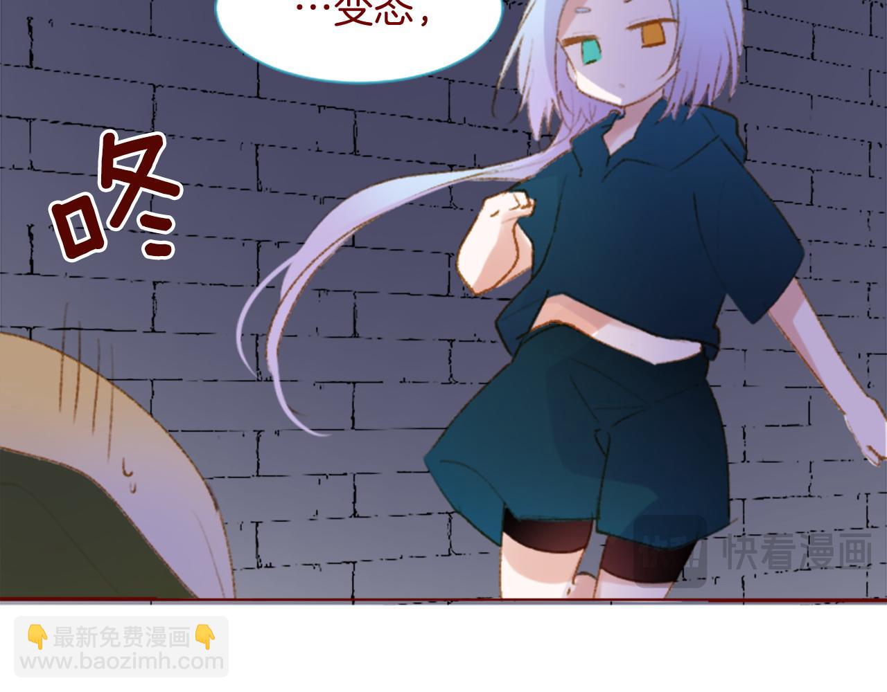 🍸哥哥~请你收养喵 第278话 群星璀璨的夜空之下 第14页