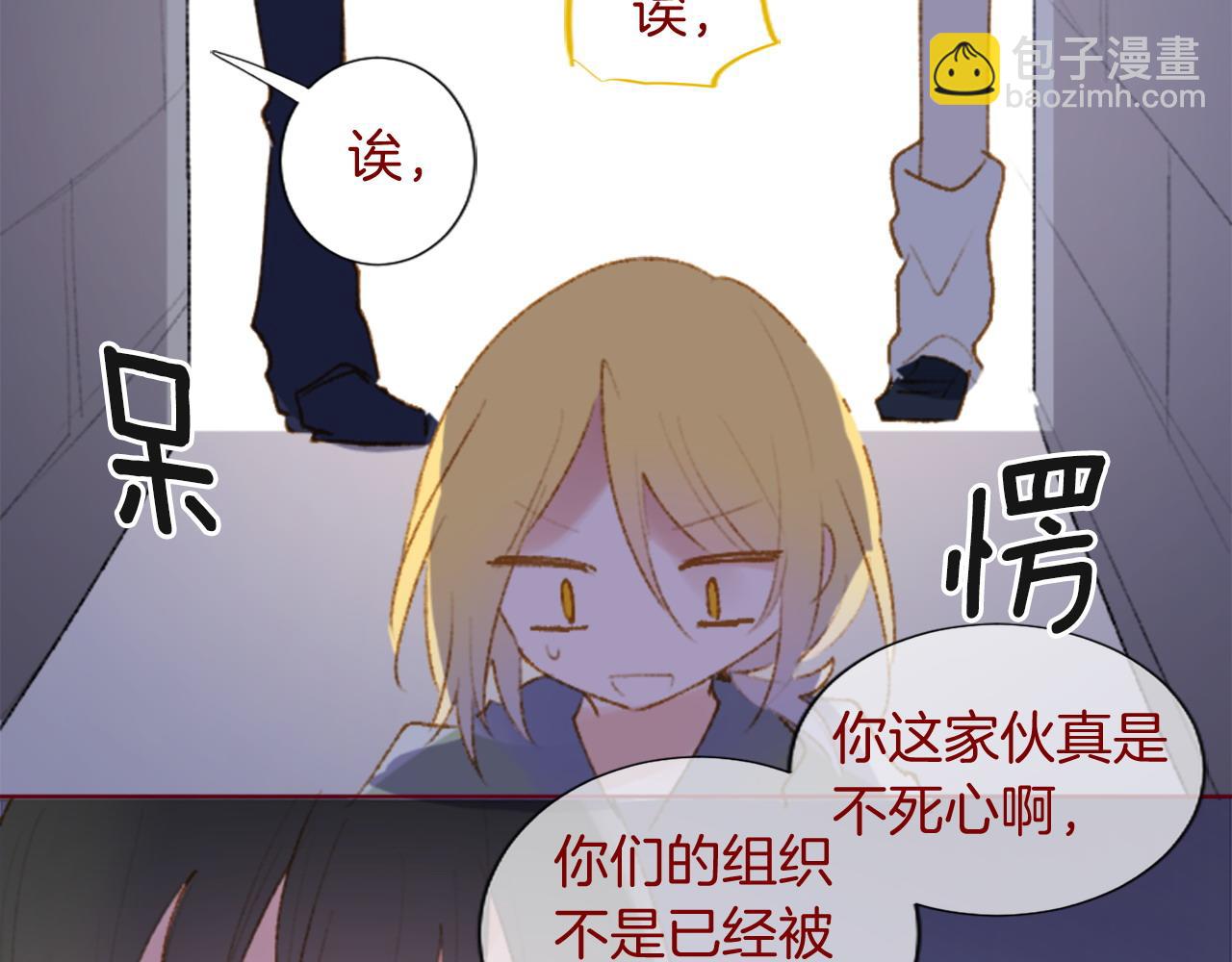 🍸哥哥~请你收养喵 第278话 群星璀璨的夜空之下 第27页