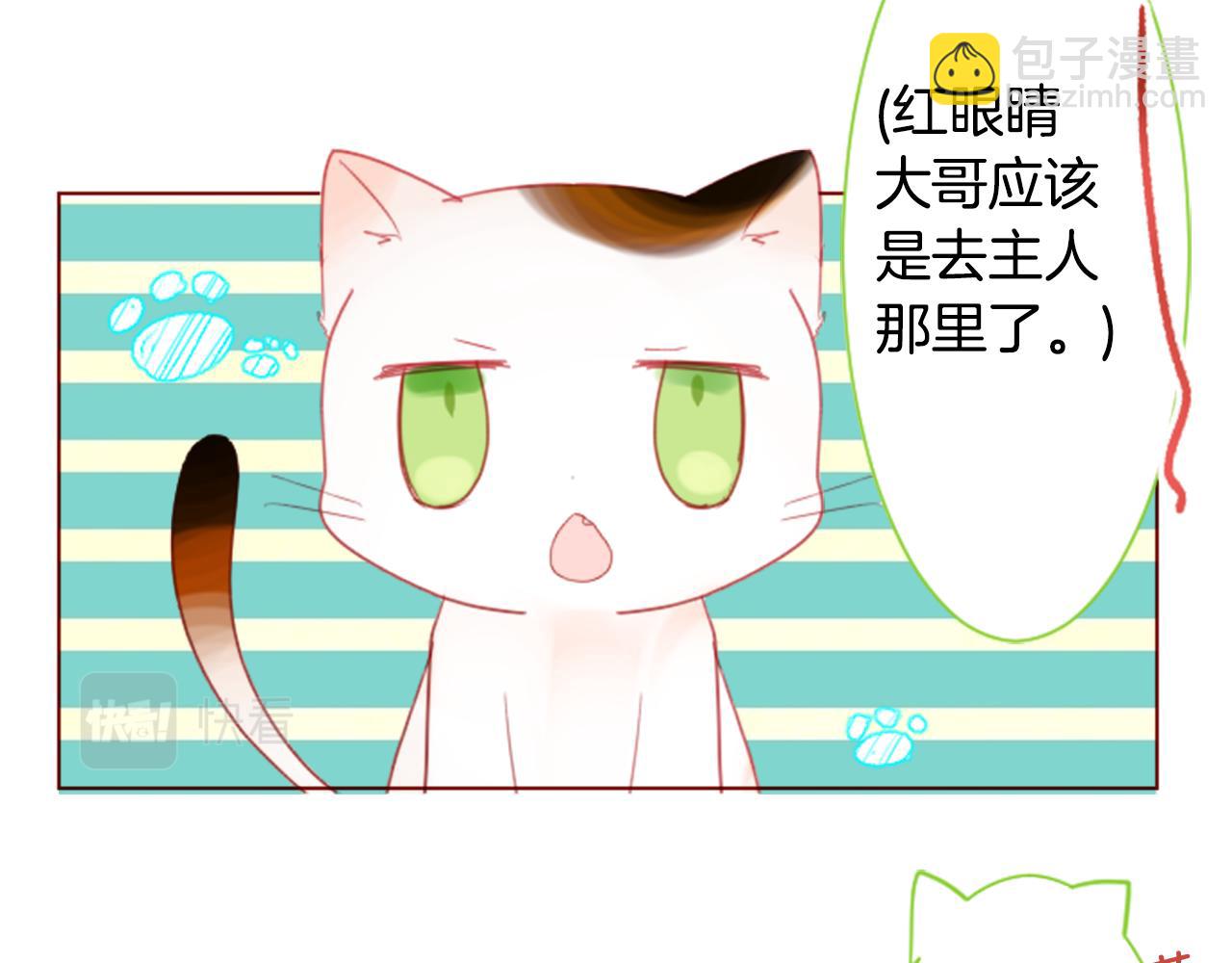 🍸哥哥~请你收养喵 第34话 魔法师和恶魔猫2 第22页