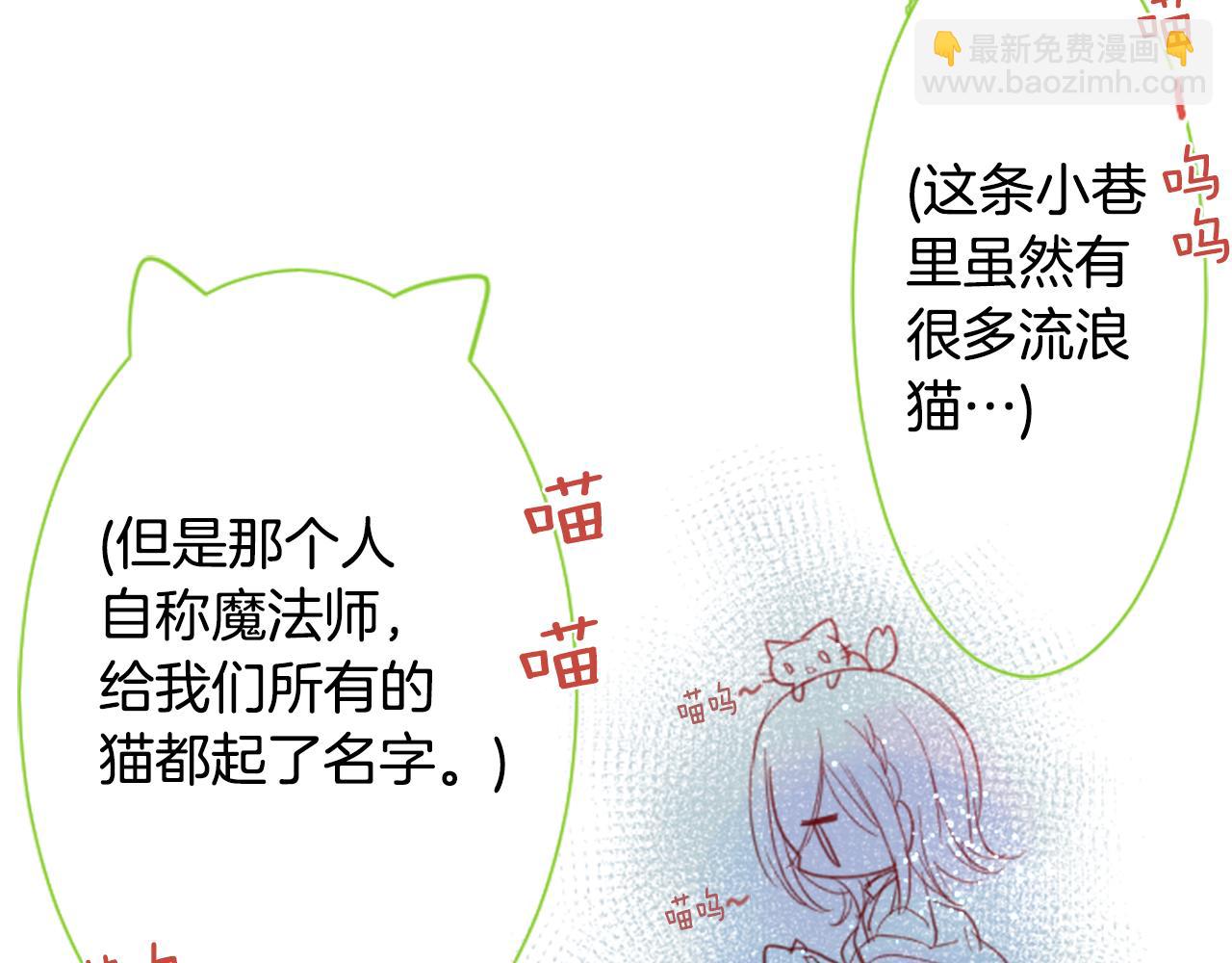 🍸哥哥~请你收养喵 第34话 魔法师和恶魔猫2 第23页