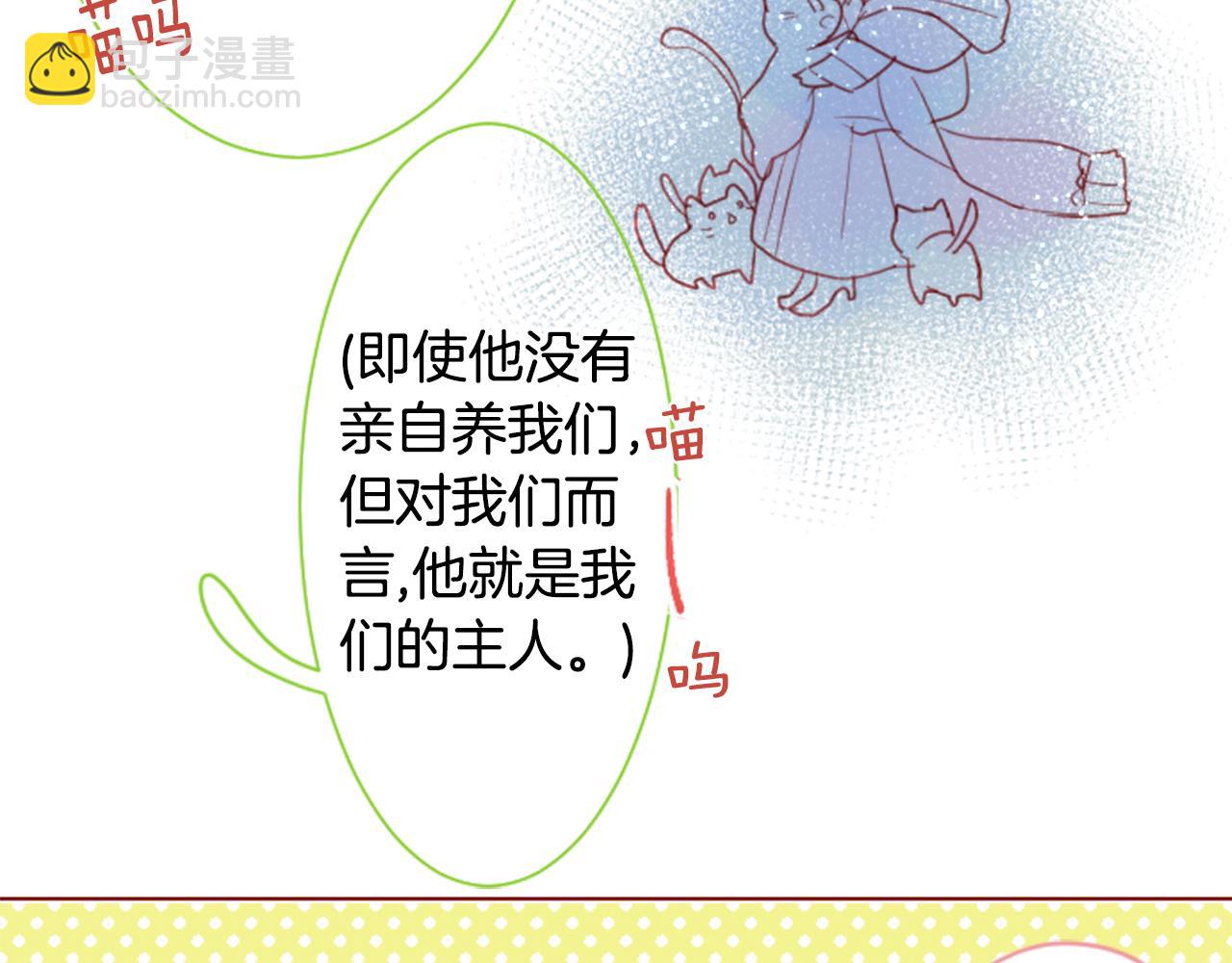 🍸哥哥~请你收养喵 第34话 魔法师和恶魔猫2 第24页