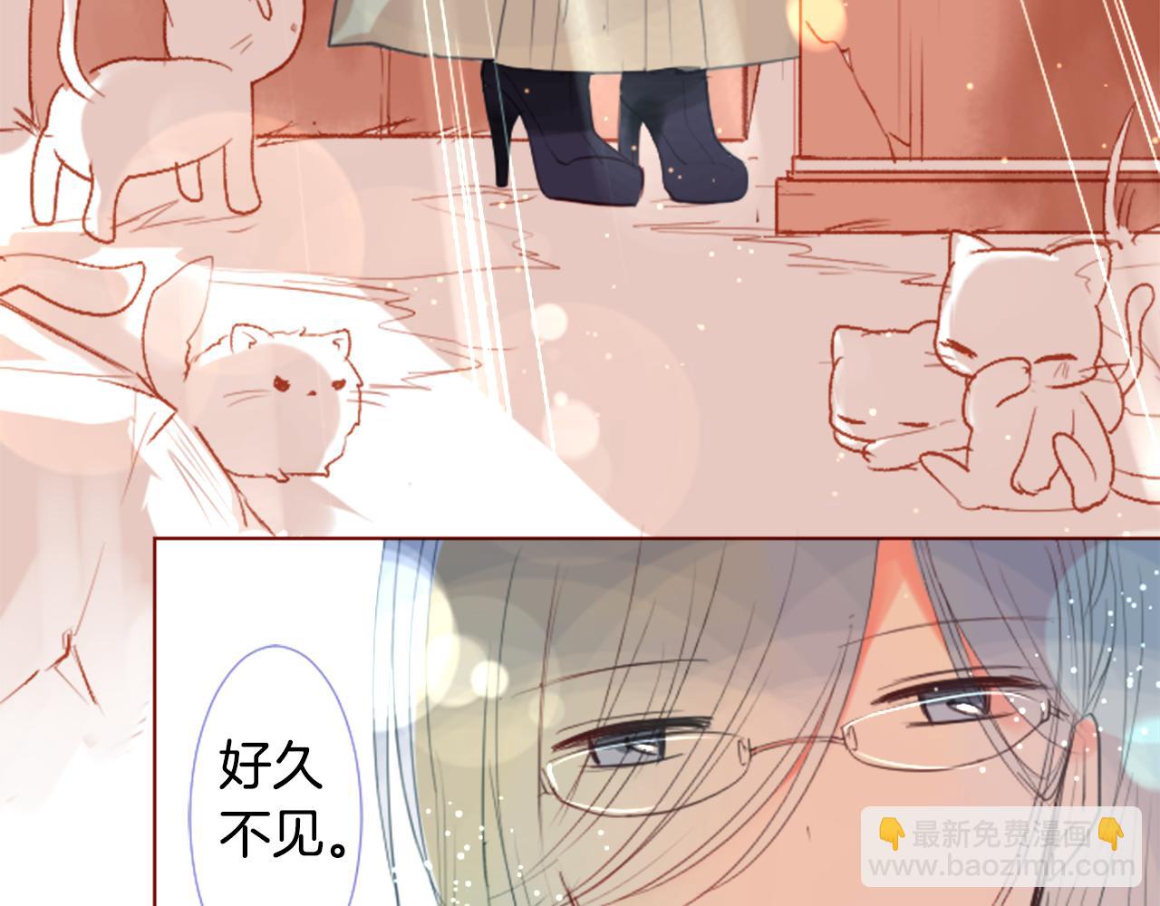 🍸哥哥~请你收养喵 第34话 魔法师和恶魔猫2 第36页