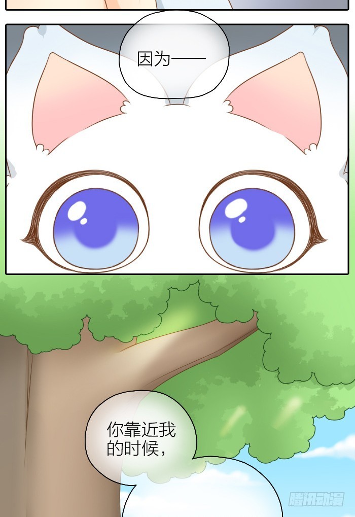 小狐狸失踪了-第47话