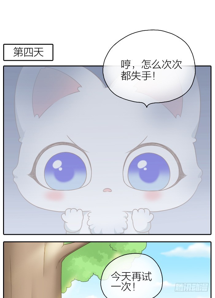小狐狸失踪了-第47话