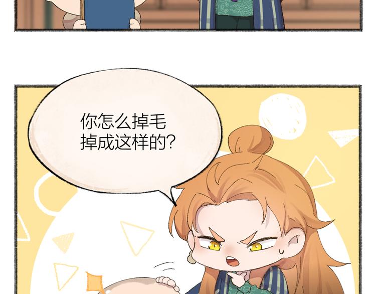 第106话 你怎么掉毛了？！(1/2)-第189话