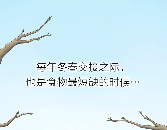 第31话 你别不理我-第31话