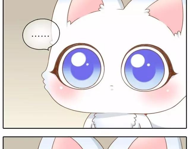 第37话 我要做保护你的孙悟空-第37话