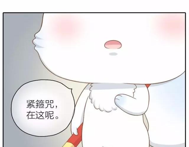 第37话 我要做保护你的孙悟空-第37话