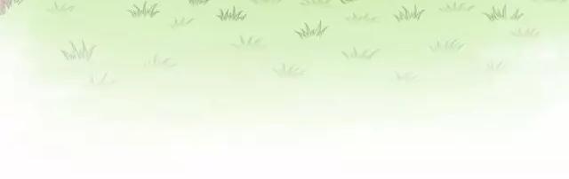 第37话 我要做保护你的孙悟空-第37话
