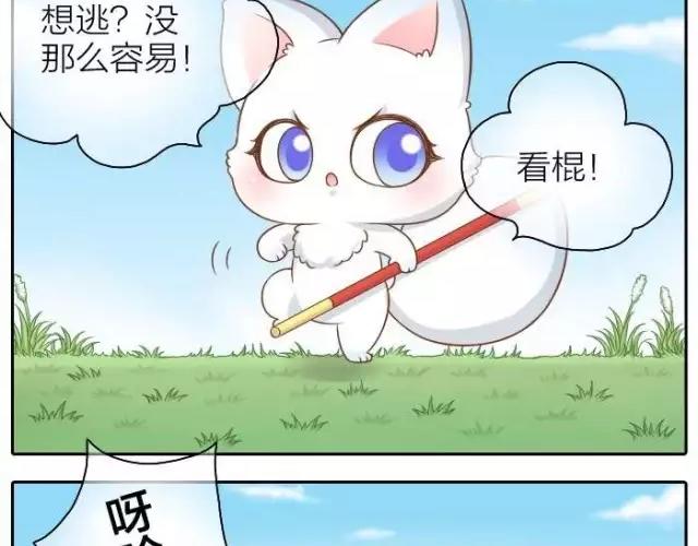 第37话 我要做保护你的孙悟空-第37话