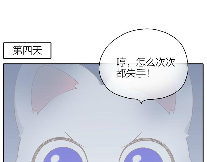 第47话 小狐狸失踪了-第47话