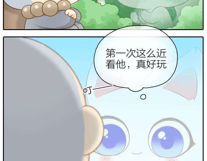 第47话 小狐狸失踪了-第47话