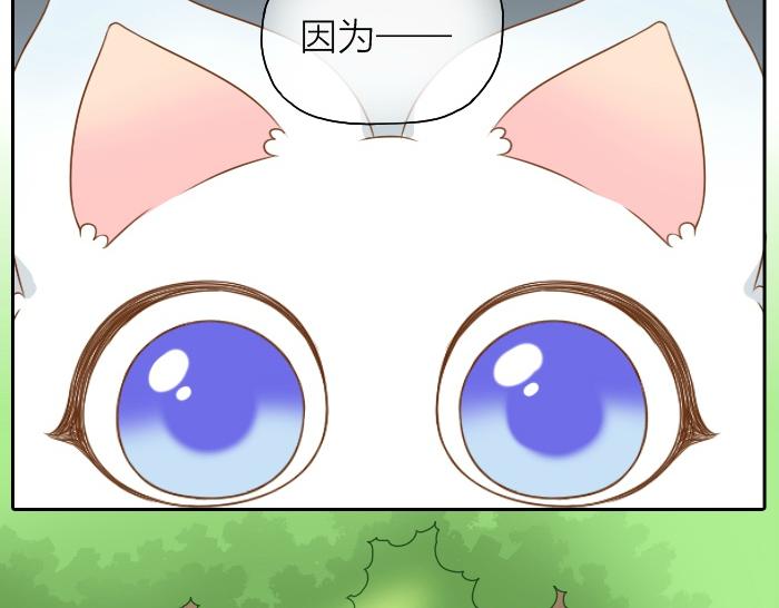 第47话 小狐狸失踪了-第47话