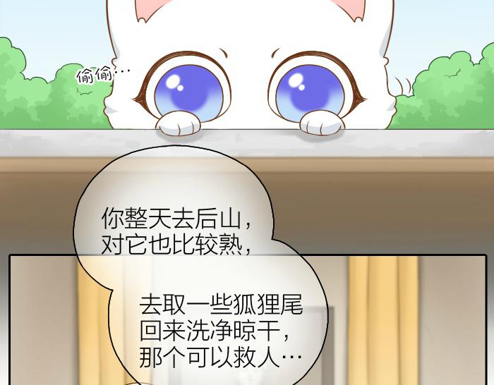 第51话 为了救人，尾巴你拿走吧！-第51话