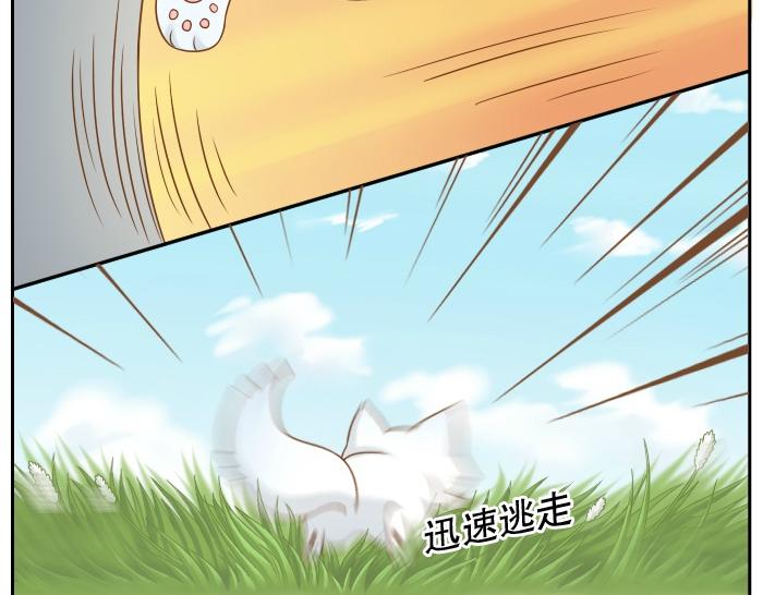 第9话 小和尚与小狐狸的前缘趣事儿-第9话