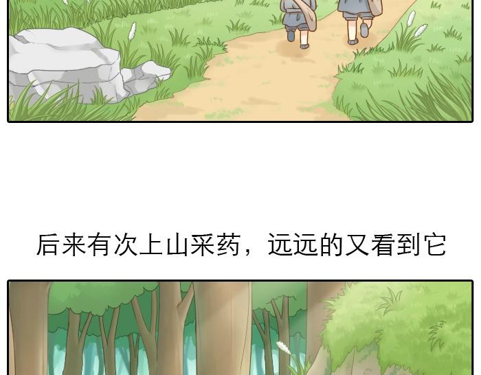 第9话 小和尚与小狐狸的前缘趣事儿-第9话