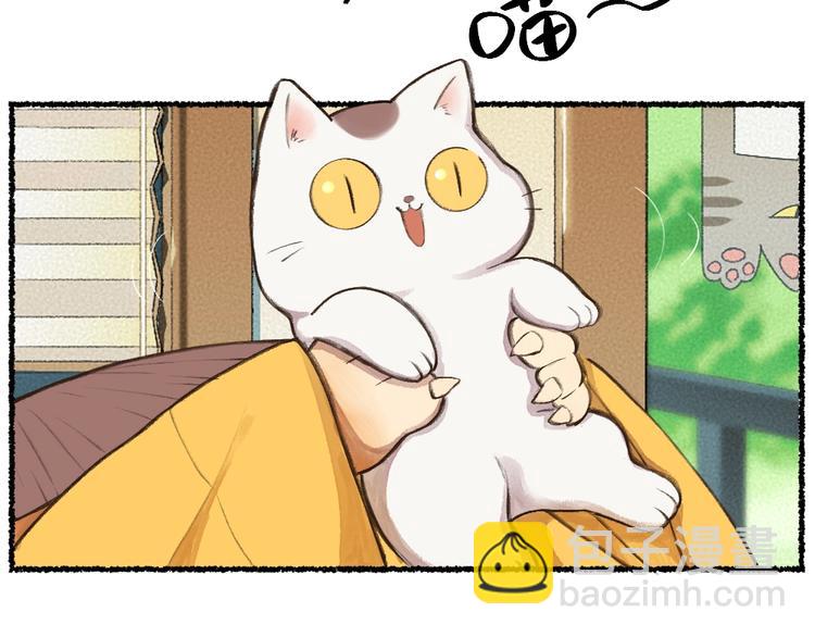 番外 猫容婆(1/2)-第87话