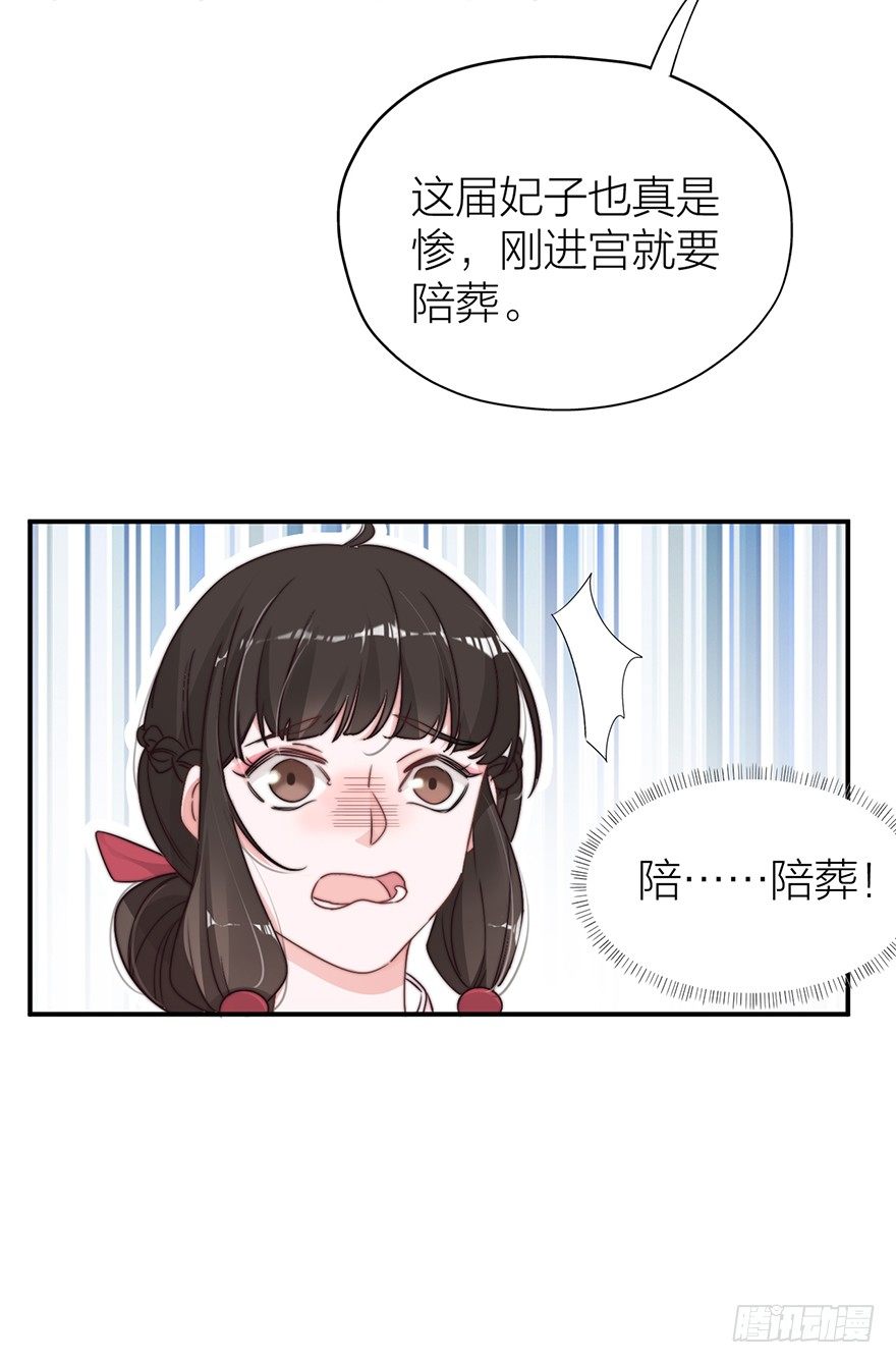 🍸宫斗live 集体陪葬 第28页