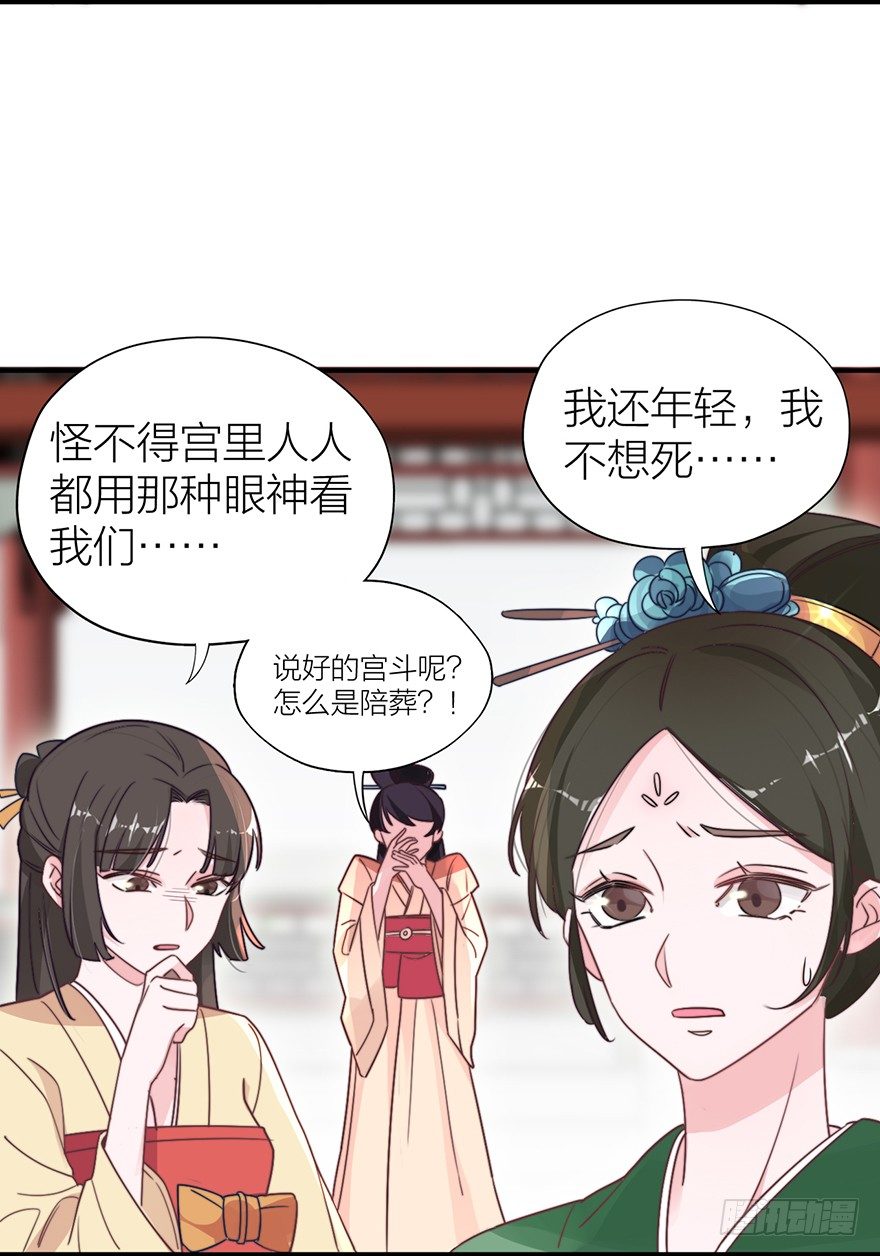 🍸宫斗live 集体陪葬 第35页