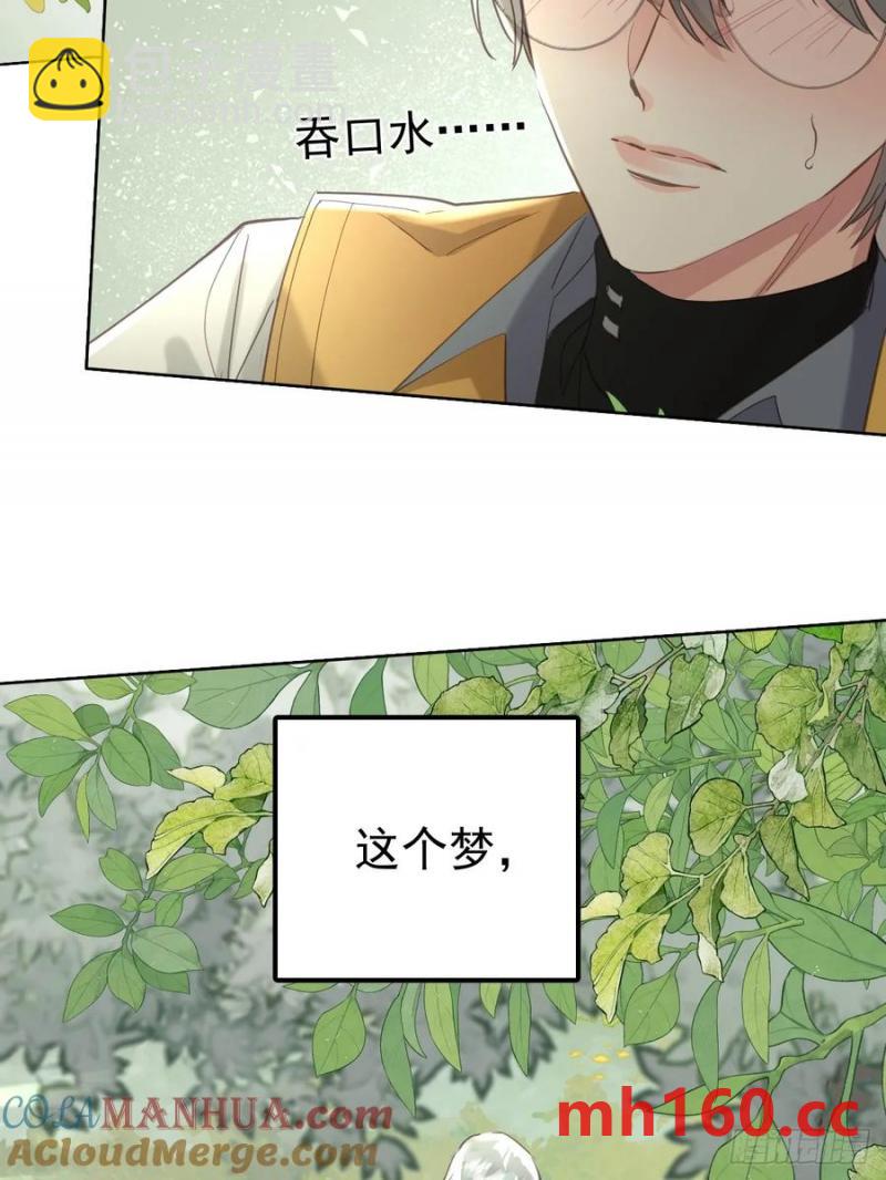 第四十话（下） 梦醒-第45话